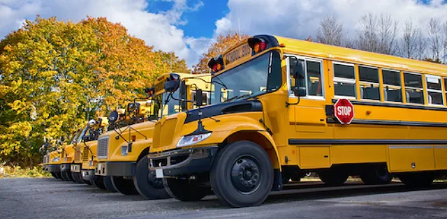 A row of yellow school buses parked neatly in a parking lot.